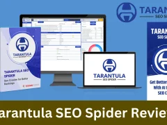 tarantula seo spider review