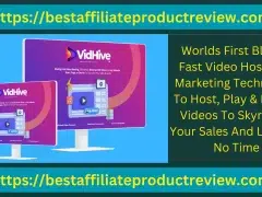 Vidhive Review